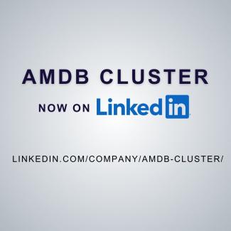 AMDB Cluster now on linkedin with URL