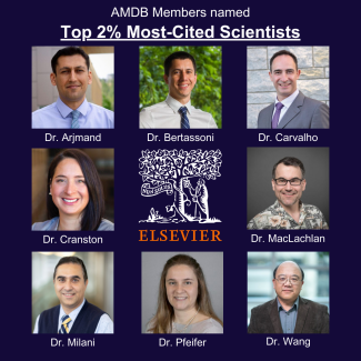 AMDB most cited scientists