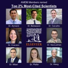 AMDB most cited scientists